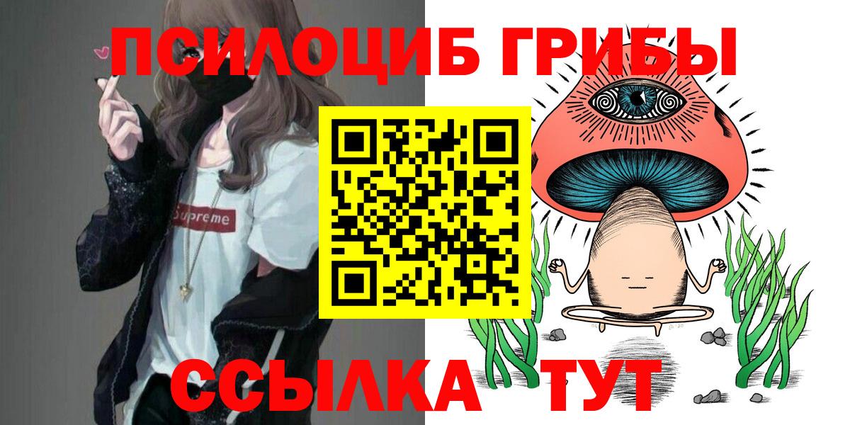 Псилоцибиновые грибы Psilocybine cubensis  Вход с VPN  Мичуринск 