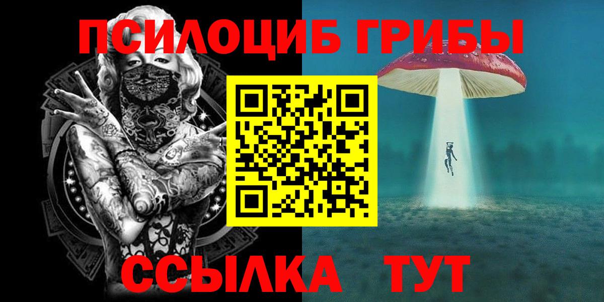 Псилоцибиновые грибы мухоморы Мичуринск